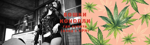 тгк Рославль