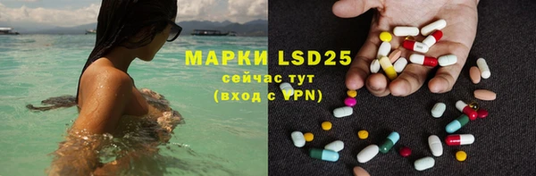 трава Аркадак