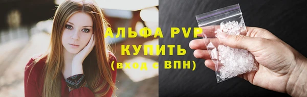 трава Аркадак