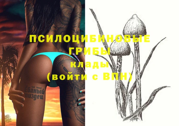 таблы Арсеньев