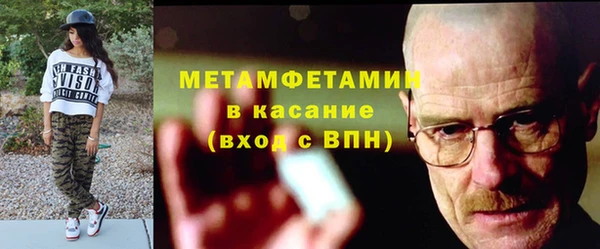 трава Аркадак